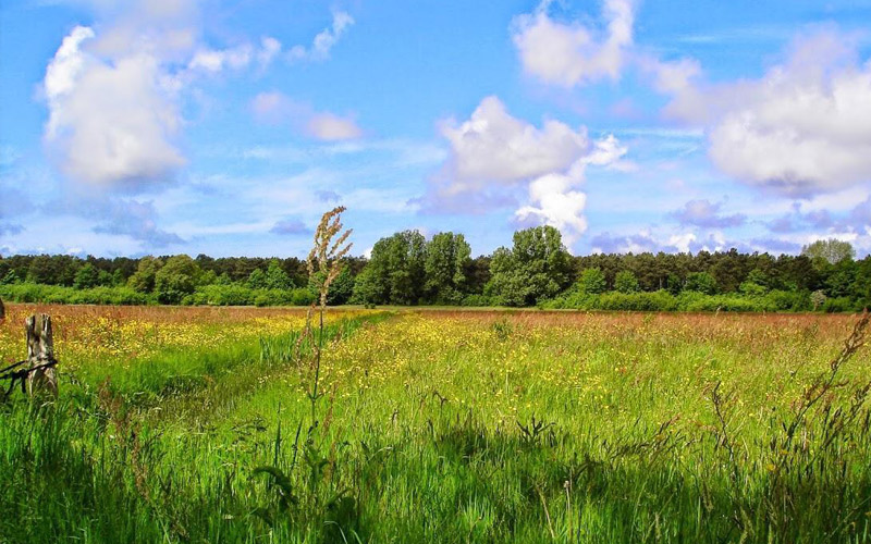 Environment.Thumbnail